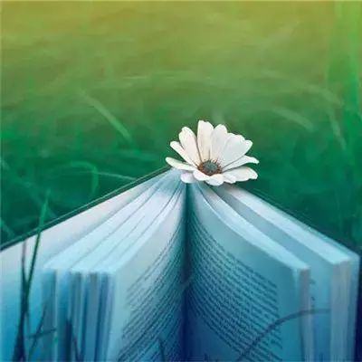 南瓜骑士破解版下载